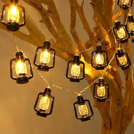 Necomi Outdoor String Lights, 19.7FT/6M Diwali Festival Decor Lights Outdoor Garden Lights with 40 LEDs, IP65 Waterproof, for Dawali Wedding Patio Indoor Outdoor Party Garden